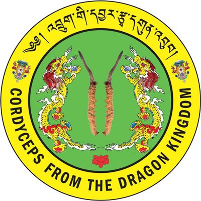 Cordyceps from the Dragon Kingdom
