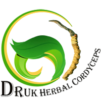 Druk Herbal Cordyceps